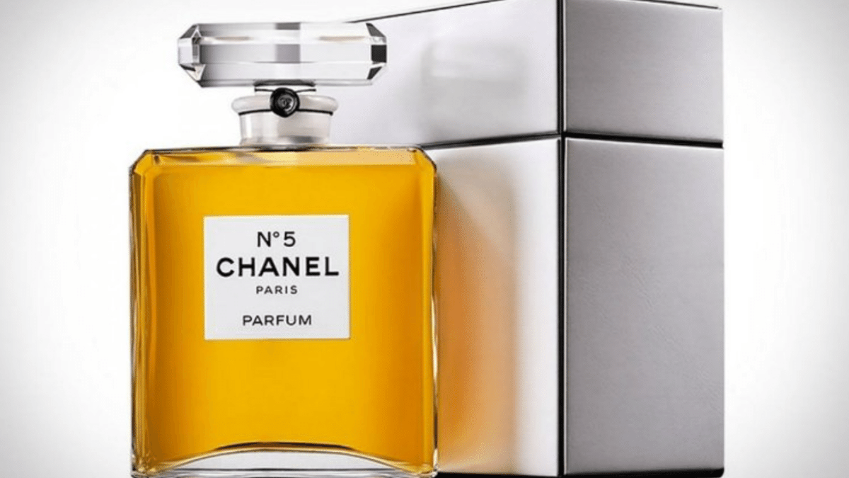 (Source: Todo_Lujo/ X)