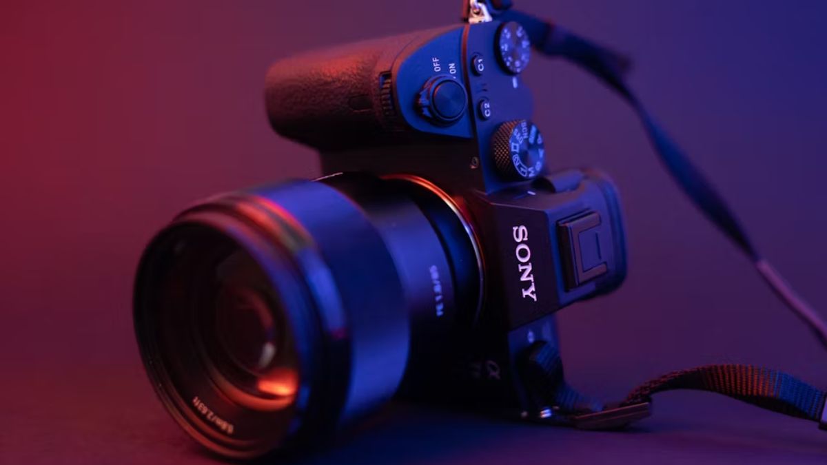 High Rated Sony Alpha Cameras With APS-C Sensor For Pictures, Movie And The whole lot In Between