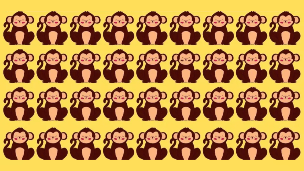Test Your Observation Skills By Spotting Odd Monkey Out In Under 10 ...