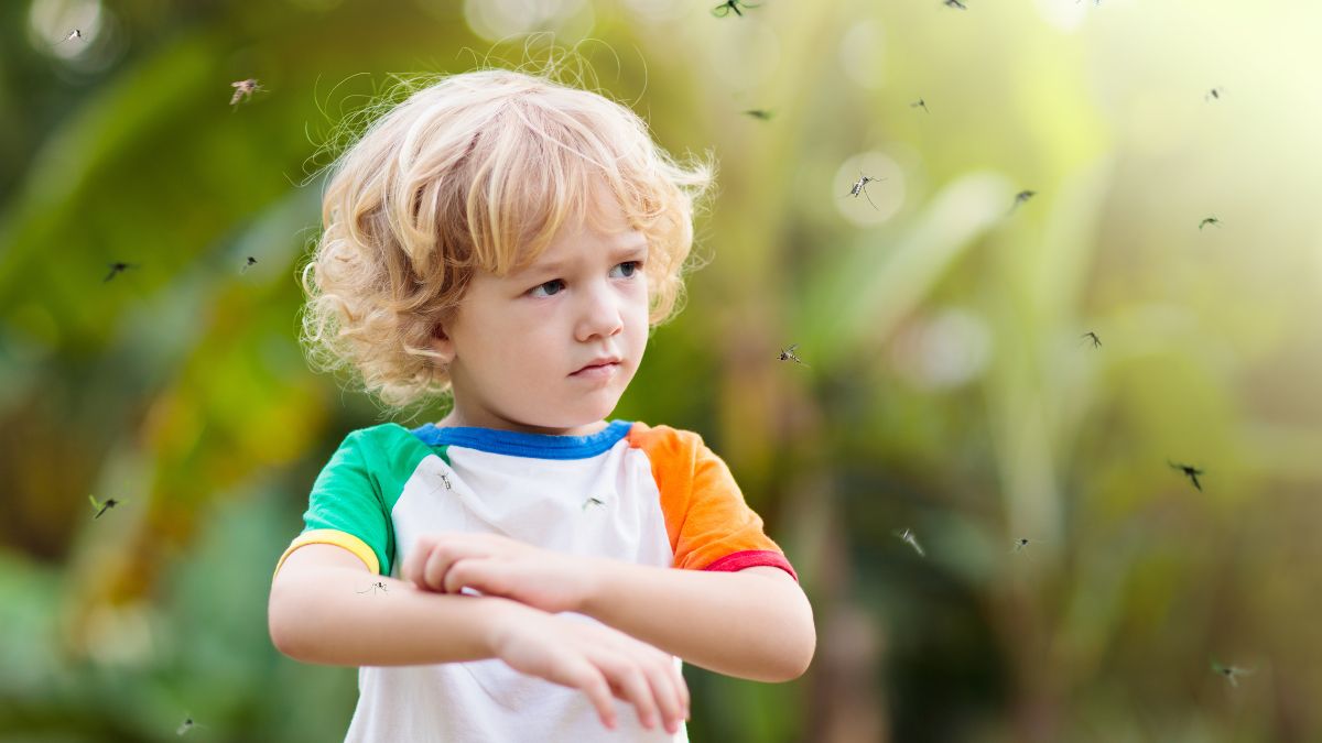 5-simple-and-effective-hacks-to-keep-mosquitoes-away-from-your-house