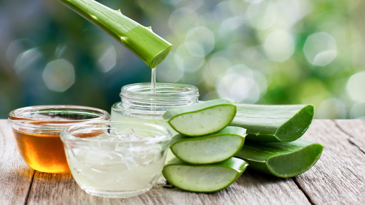 5 Amazing Ways To Use Aloe Vera Plant For Skin Hair And Body