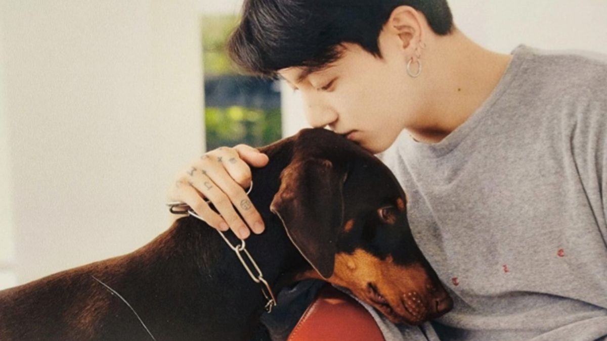 When Jungkook’s Unconditional Love For His Pet Dog Bam Melted ARMYs ...