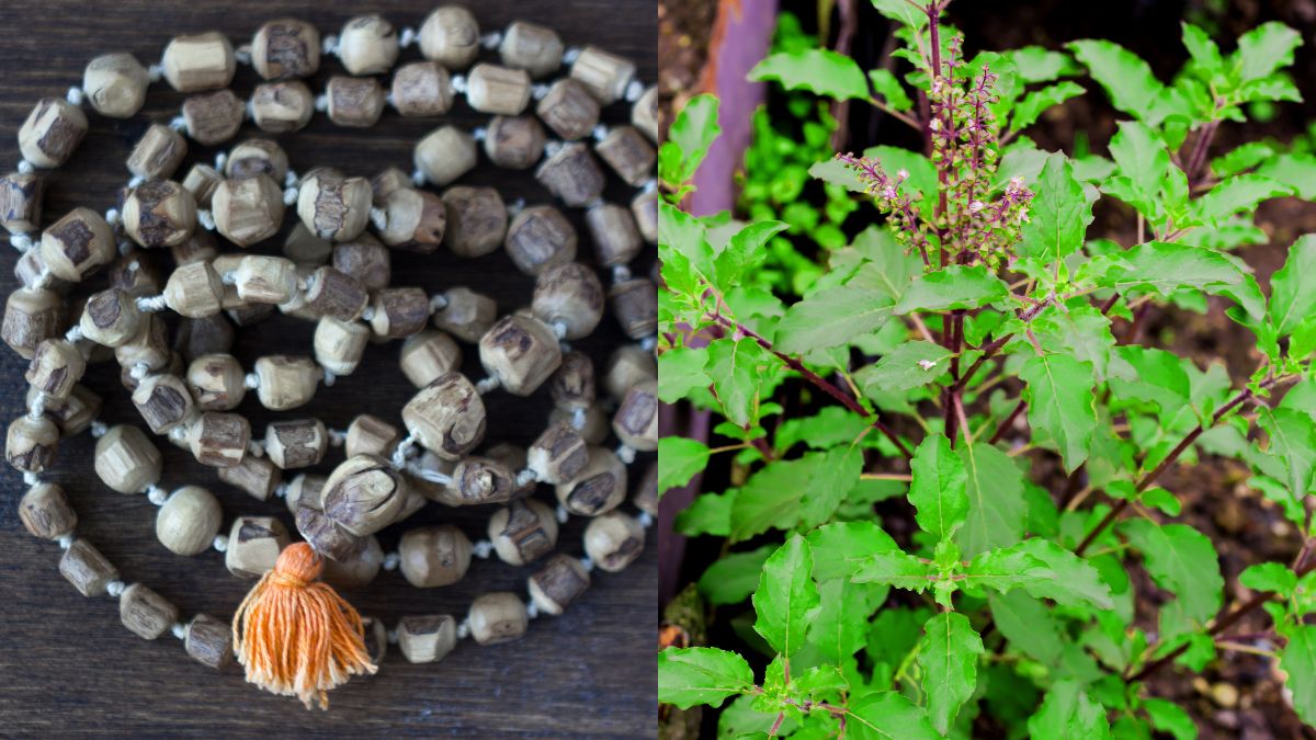 Why Do Lord Krishna Devotees And Vaishnavas Wear Tulsi Kanthi Mala ...