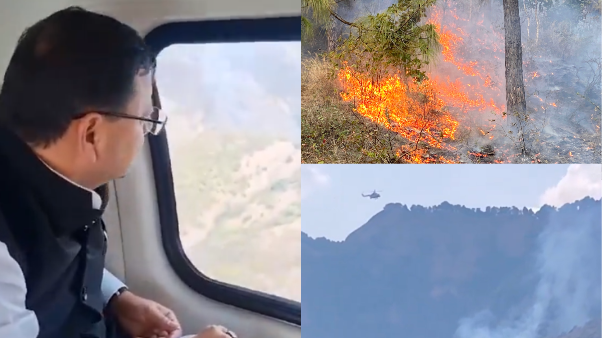 Nainital Fire News: IAF Choppers Roped In To Douse Forest Fire, CM Dhami  Conducts Aerial Survey | Watch