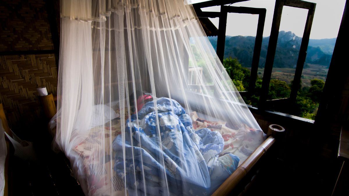 Odisha Govt Urges Centre To Provide 1.56 Cr Special Mosquito Nets After