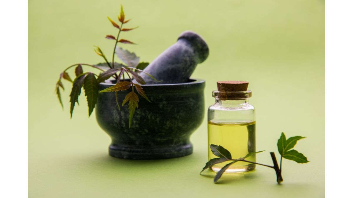 Why Is It To Consume A Neem Leaf Daily? Doctor Explains