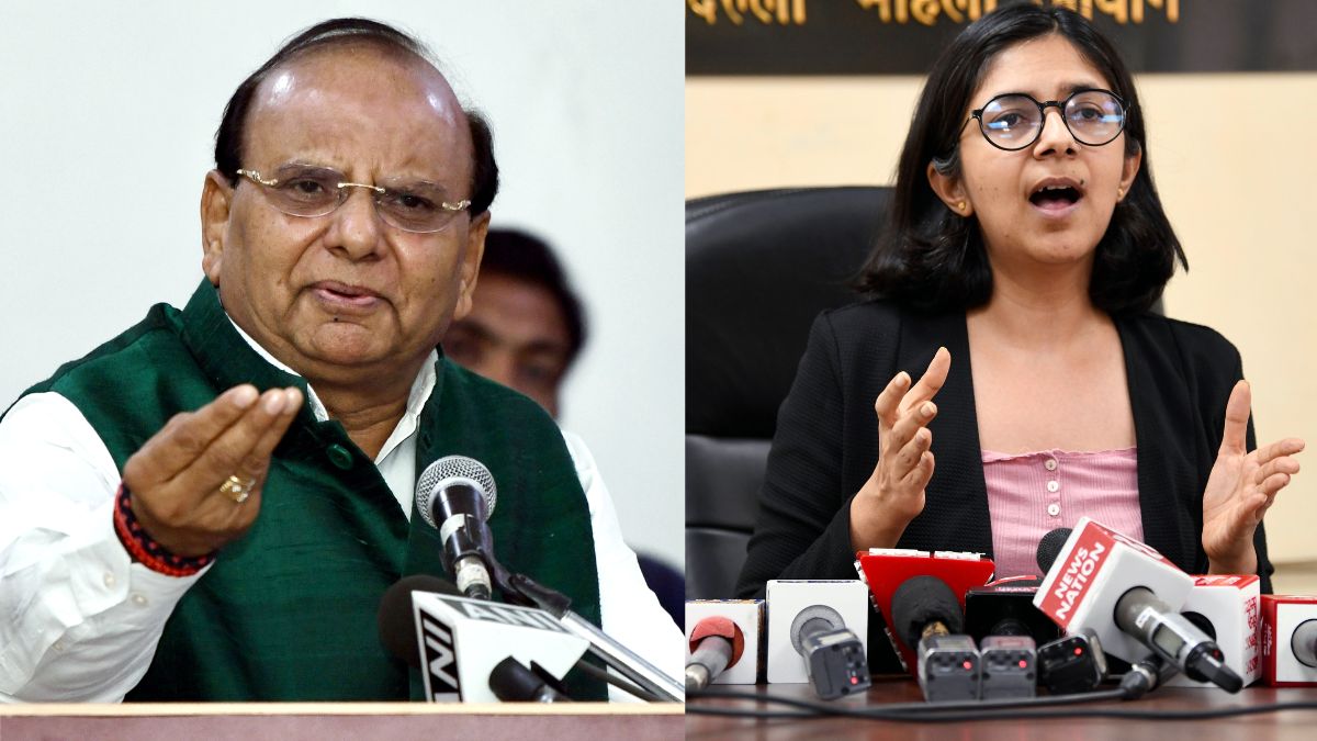 Delhi LG VK Saxena Removes 223 DCW Employees Appointed By Ex-Chief Swati Maliwal; Here's Why