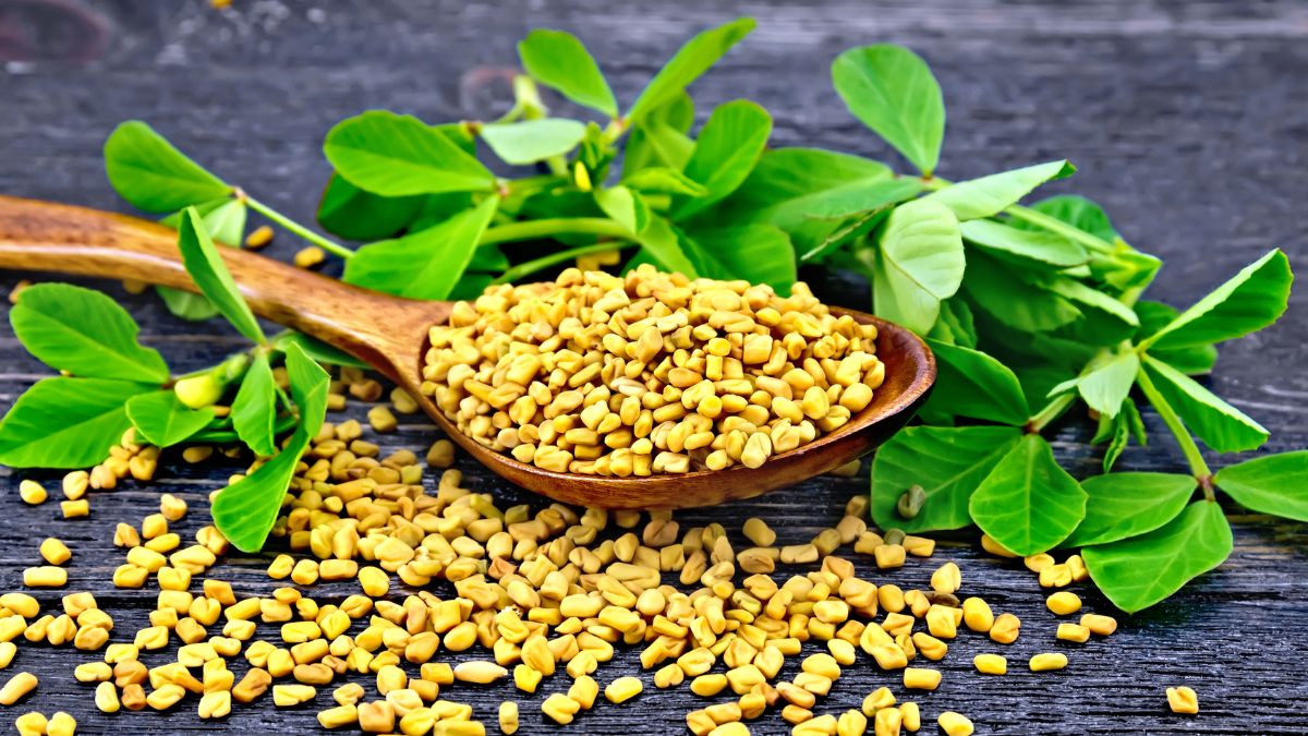 6 Exceptional Benefits Of Fenugreek For Women; Managing PCOS To