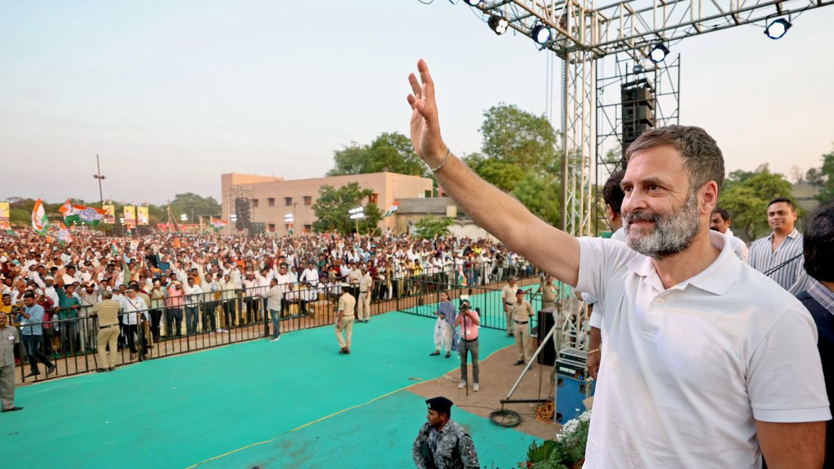 'Scaredness Towards Defeat In Amethi': How BJP Reacted To Rahul Gandhi's Raebareli Candidature