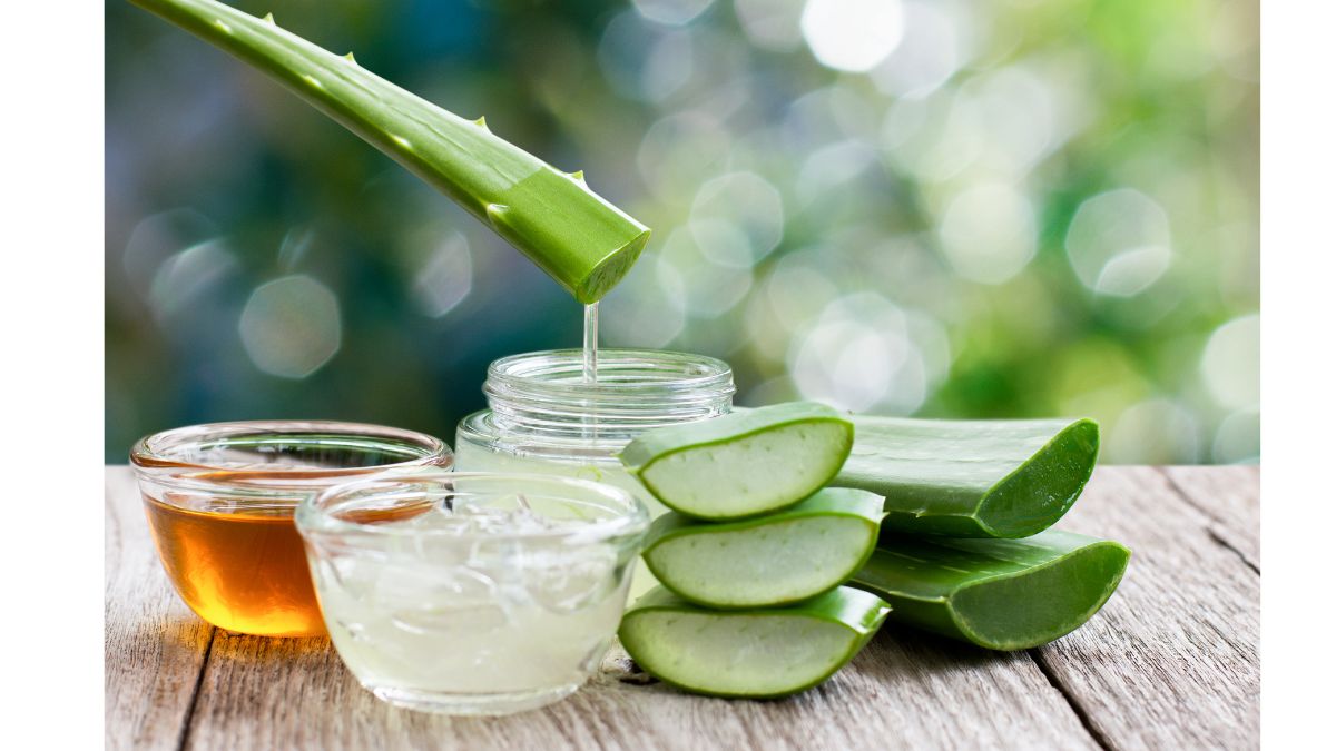 Can Aloe Vera Treat Sunburn? Expert Lists Refreshing Aloe Vera Hacks To ...