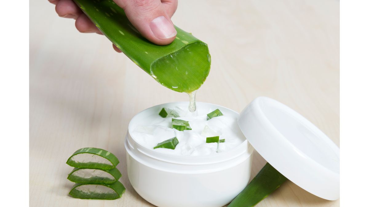 Can Aloe Vera Treat Sunburn? Expert Lists Refreshing Aloe Vera Hacks To