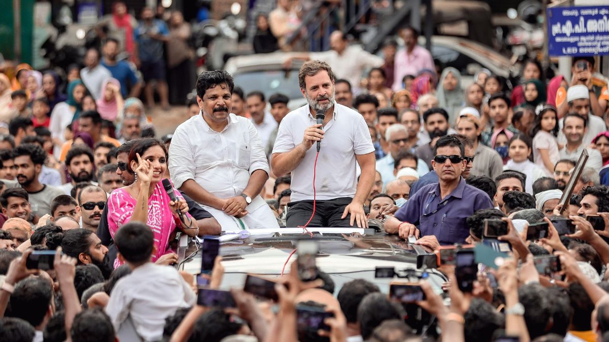 Why Congress Fielded Rahul Gandhi From Raebareli, Not Amethi | Explained