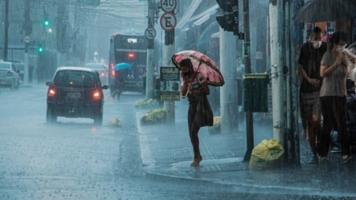 West Bengal Weather: Heavy Rain Alert In Birbhum, Murshidabad, Nadia ...