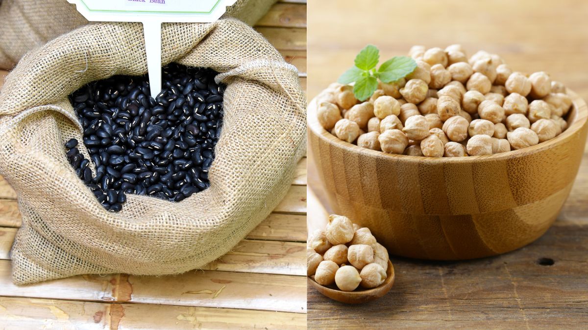 5 Healthiest Beans That You Should Add To Your Regular Diet