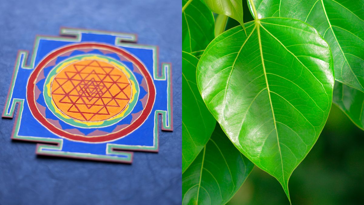 7 Good Luck Items To Carry In Your Pocket As Per Vastu Shastra To Attract Money And Abundance 7 Good Luck Items To Carry In Your Pocket As Per Vastu Shastra To Attract Money And Abundance