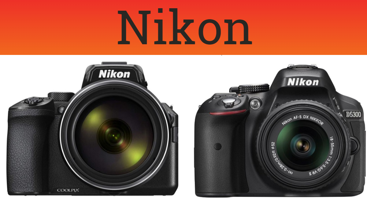 Which Is The Best Nikon Camera? 5 Options From The Nikon Coolpix series ...