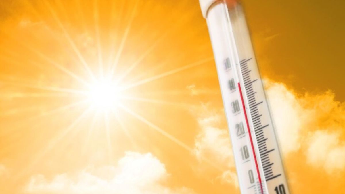 severe-heatwave-in-delhi-whos-at-more-risk-and-how-to-protect-yourself