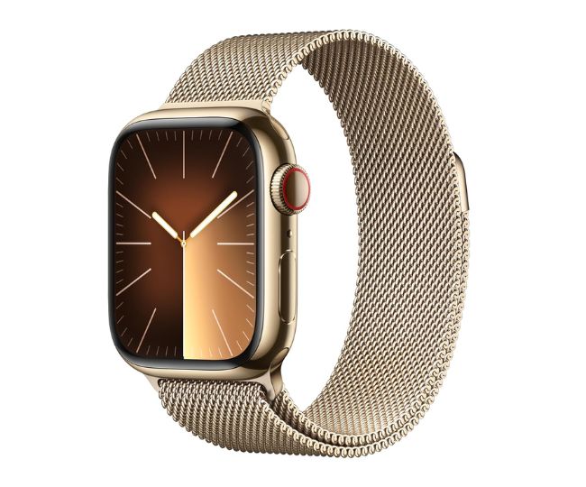 Top Selling Apple Smartwatch In India Experience Excellence