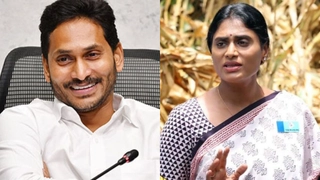 Andhra Pradesh Polls: Siblings Taking On Each Other To Father-Son Race, AP Elections Shake Up Families
