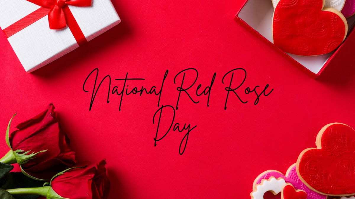 National Red Rose Day 2024 Wishes, Messages, Quotes, WhatsApp And