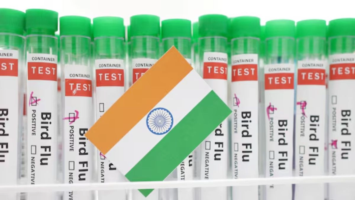 bird-flu-in-india-west-bengal-case-four-year-old-child-tests-positive-avian-influenza-who-confirms-second-case-in-country