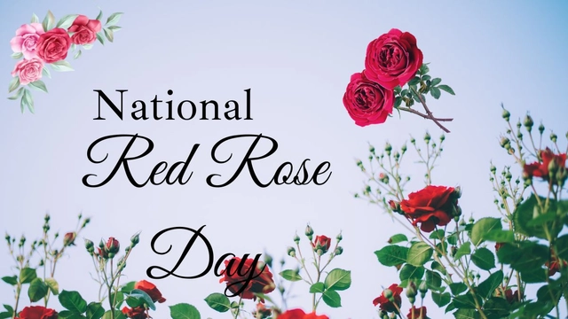 national-red-rose-day-2024-wishes-messages-quotes-whatsapp-and-facebook-status-to-share-with-your-close-pals