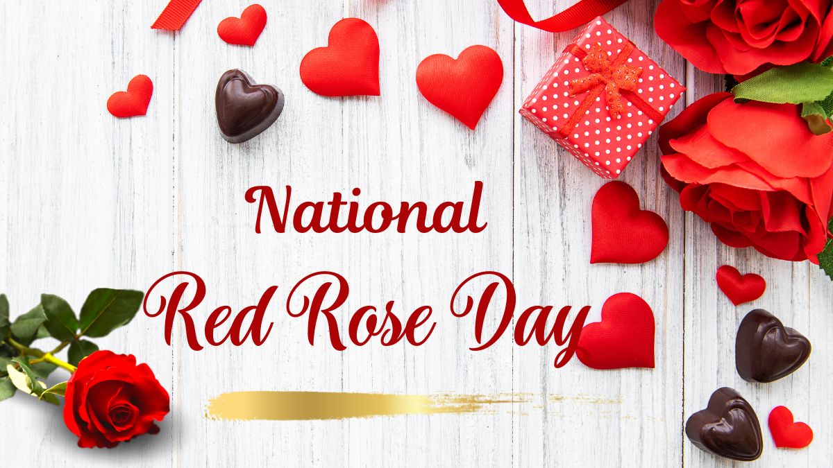 National Red Rose Day 2024 Wishes, Messages, Quotes, WhatsApp And