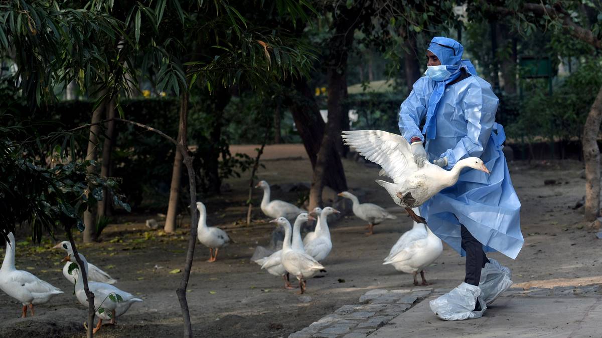 How One Health Aims To Tackle Infectious Diseases Like Covid, Bird Flu