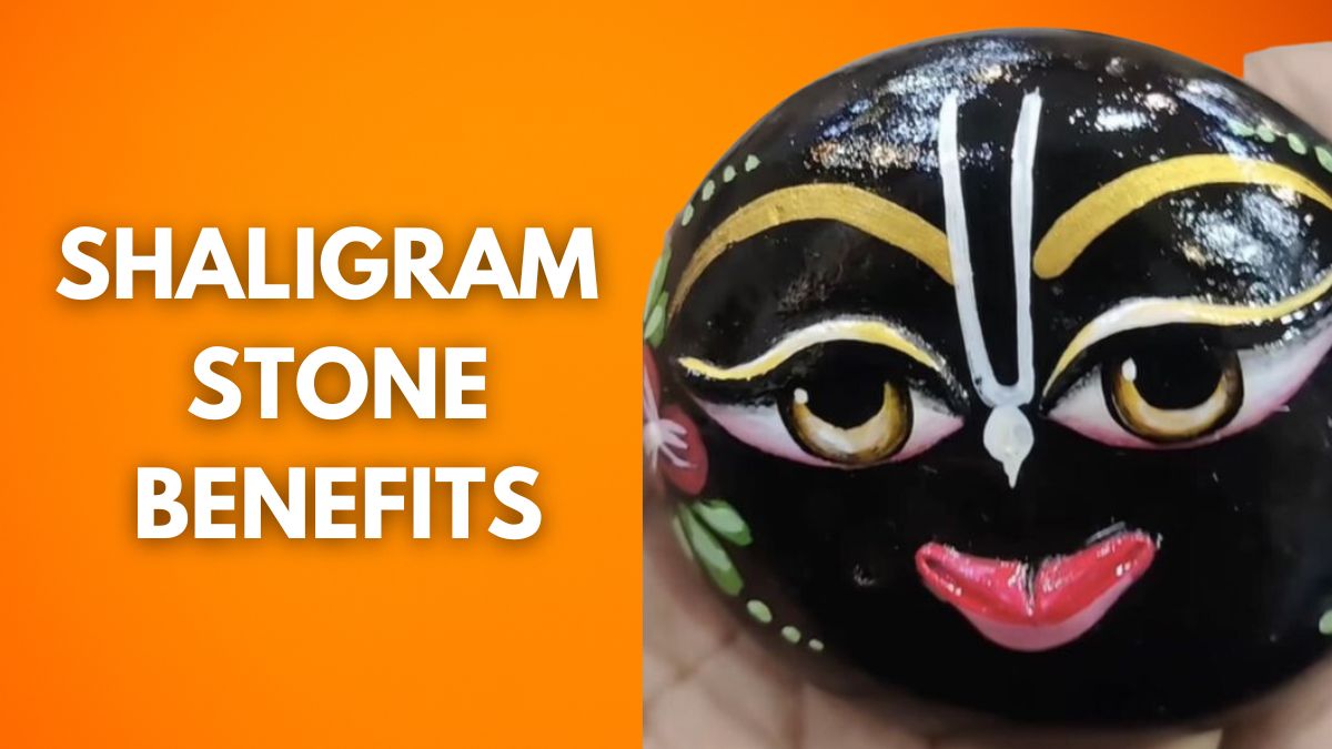 What Is Shaligram Shila Form Of Lord Vishnu? Know Significance And ...