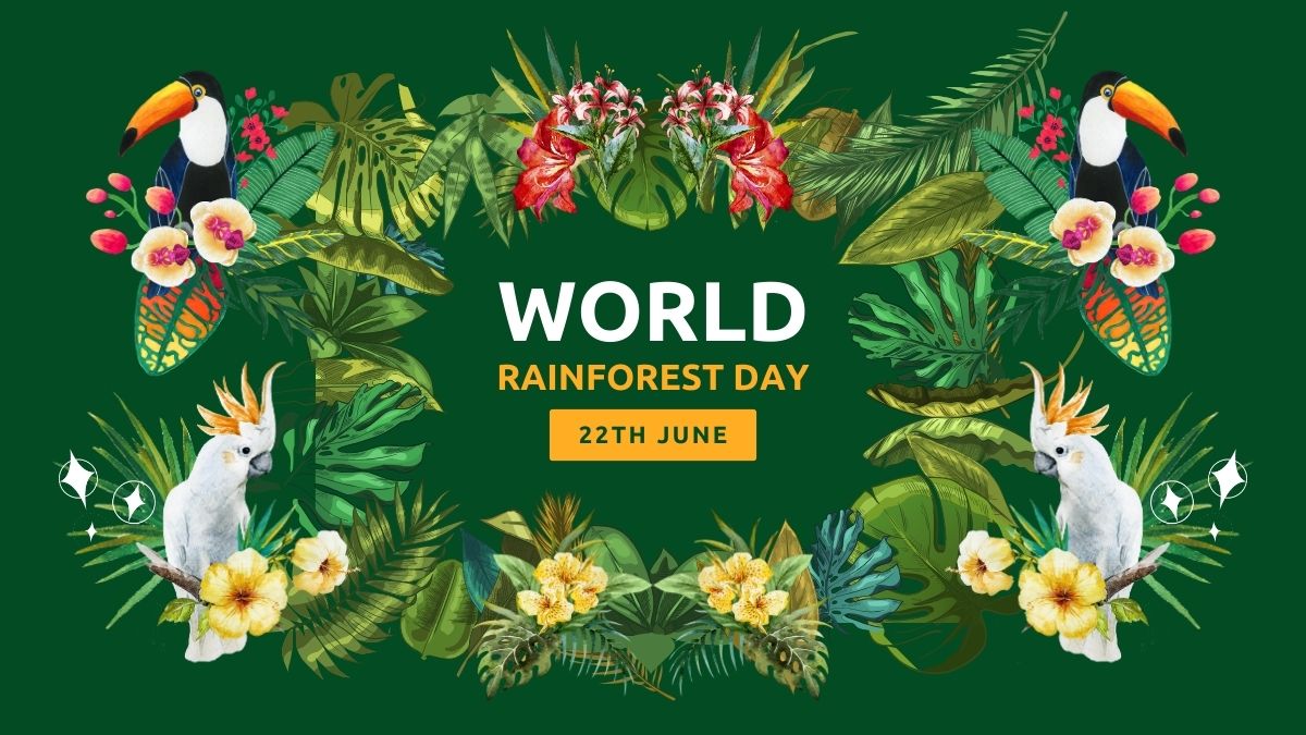 World Rainforest Day 2024: Theme, History, Quotes, Hd Images And 