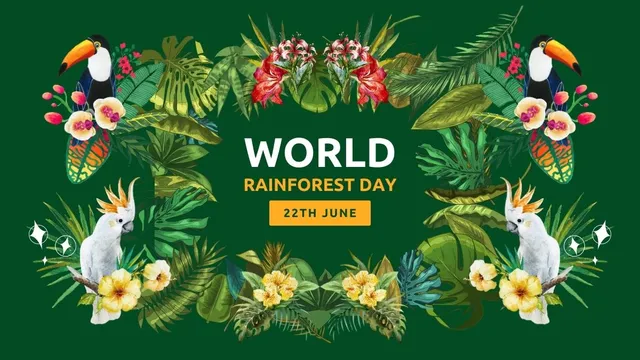 world-rainforest-day-2024-theme-history-quotes-hd-images-and-slogans-to-share-on-this-special-day