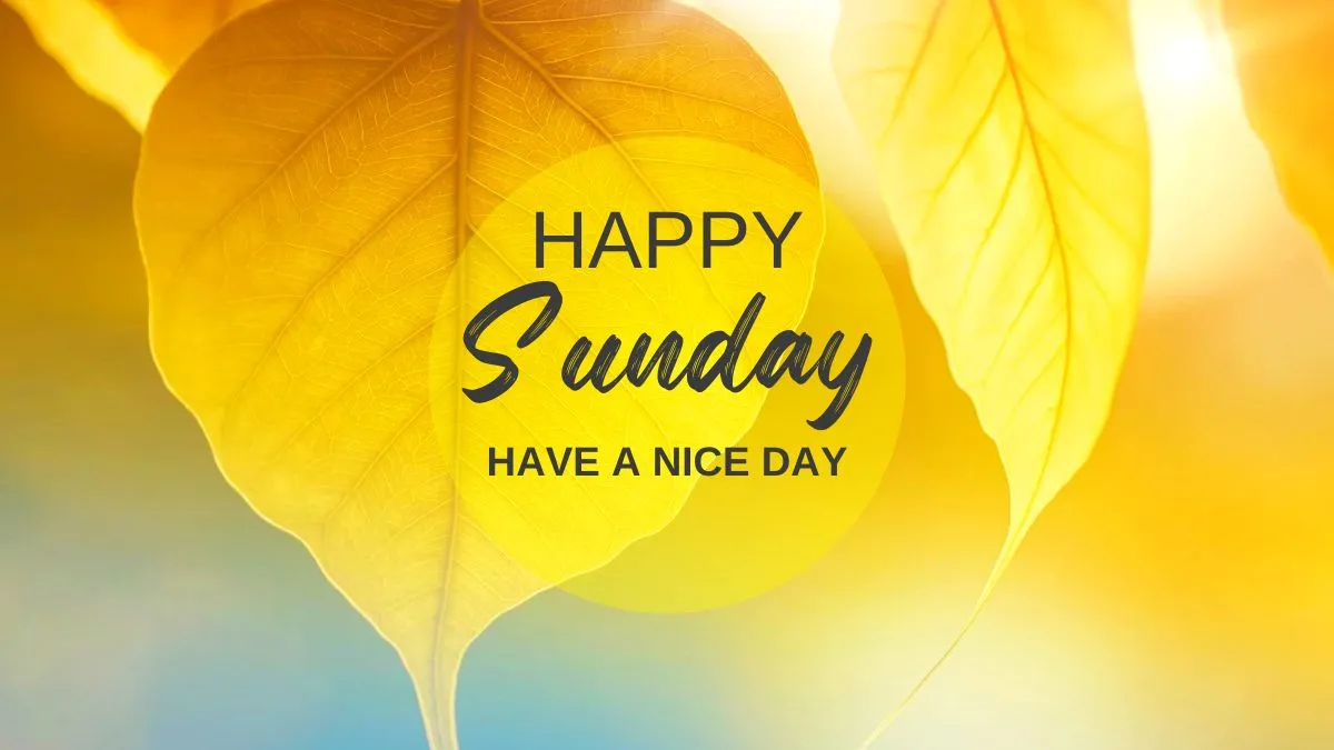 sunday-bliss-top-10-happy-quotes-to-start-a-fresh-and-peaceful-week-ahead