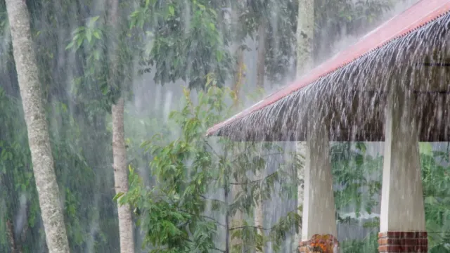 weather-update-monsoon-likely-to-hit-delhincr-on-july-1-heavy-rain-to-drench-bihar-mp