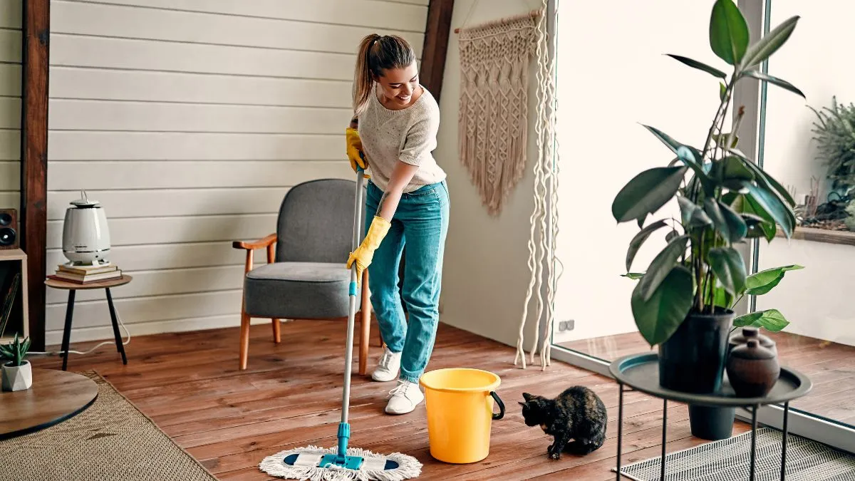 5-simple-tips-to-keep-your-house-smell-refreshing-in-monsoon