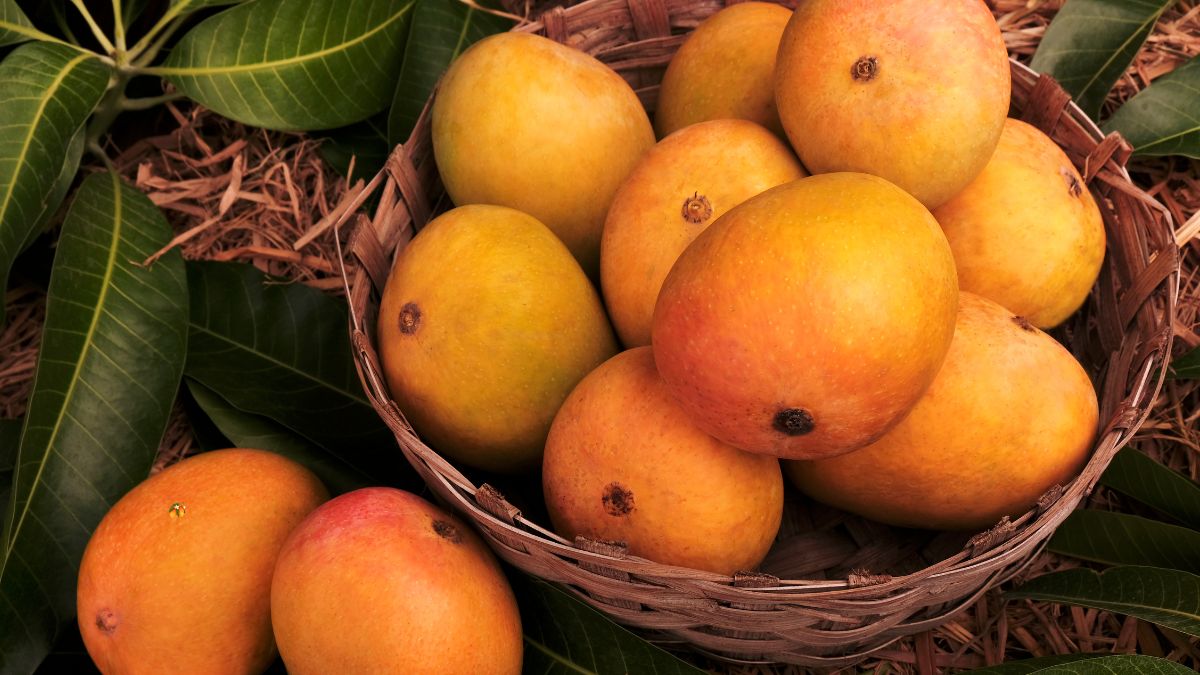 Benefits Of Eating Mangoes Combating Cancer To Better Digestion; 5