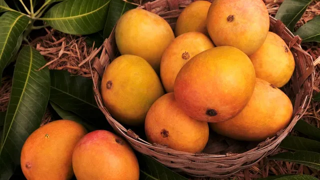benefits-of-eating-mangoes-combating-cancer-to-better-digestion-5-reasons-to-eat-mangoes-after-meals