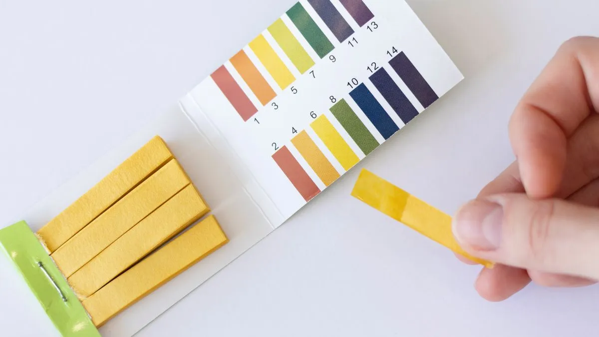 how-to-know-your-skins-ph-at-home-try-these-simple-ways-to-find-out