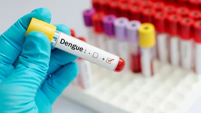 bengaluru-reports-first-dengue-death-this-year-amid-rising-cases-in-karnataka-check-doctors-advisory