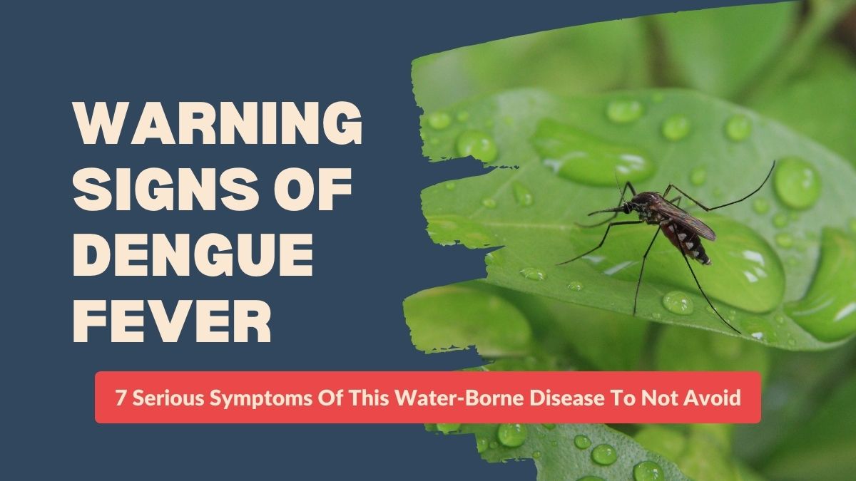 Warning Signs Of Dengue Fever: 7 Serious Symptoms Of This Water-Borne ...