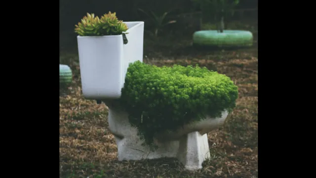 instagram-video-shows-joint-commode-diy-for-couple-to-poop-together-internet-is-speechless