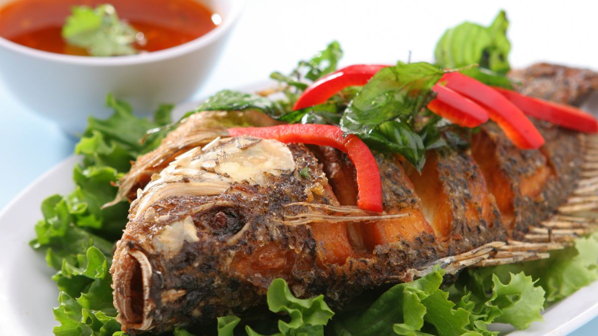 Benefits Of Tilapia Fish Healthy Bones To Brain Health; 5 Reasons To