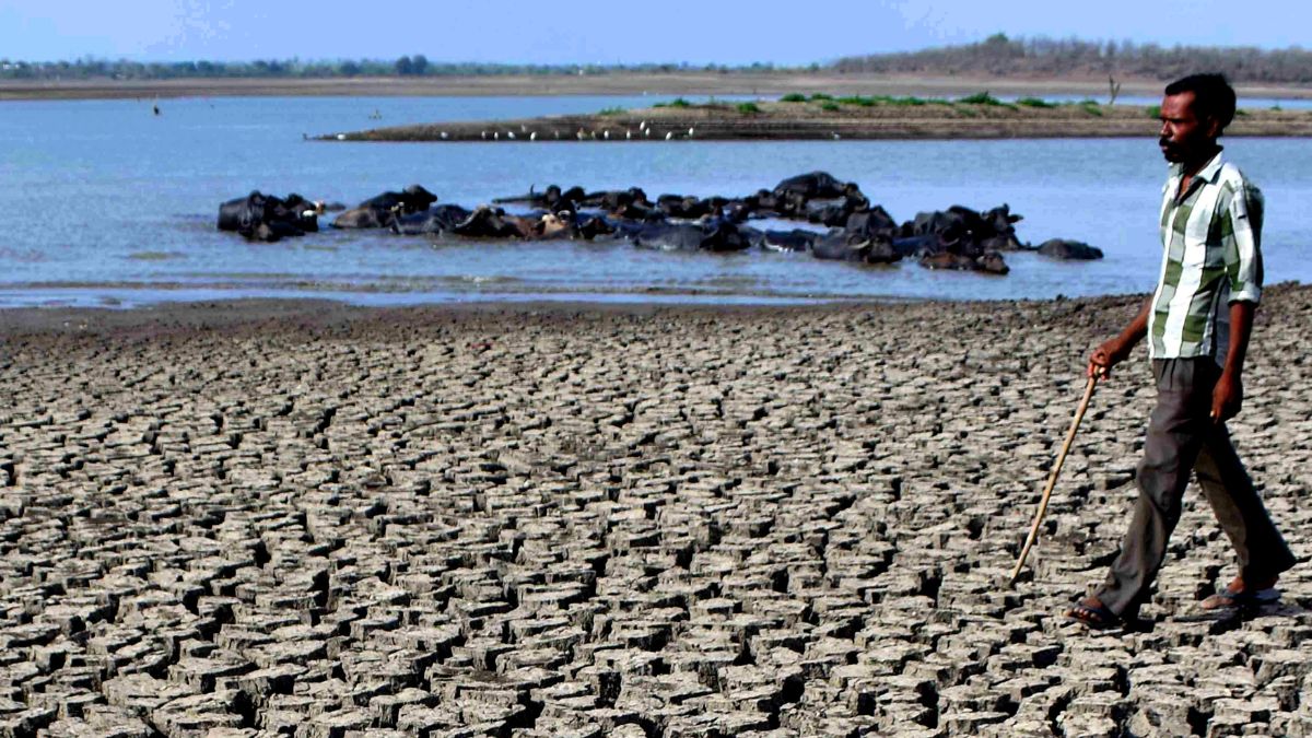 maharashtra-430-farmers-suicides-in-first-six-months-of-june-in-parched-marathwada-highest-in-beed
