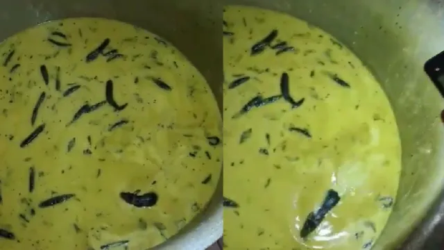 university-students-find-live-rat-in-chutney-served-in-mess-viral-video-sparks-outrage