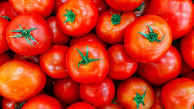 delhi-tomato-prices-surge-to-rs-90-per-kg-as-supplies-disrupt-due-to-monsoon-rains