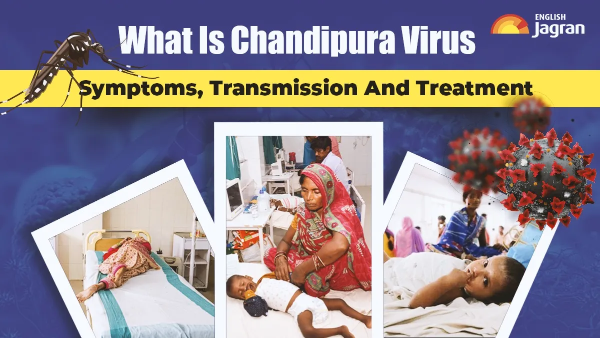 What Is Chandipura Virus, 'Deadly' Pathogen Behind 6 Deaths In Gujarat ...