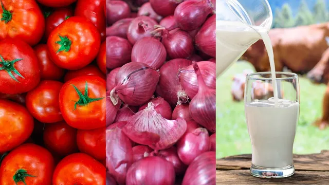 economic-survey-2024-key-factors-driving-up-tomato-onion-and-milk-prices-across-india