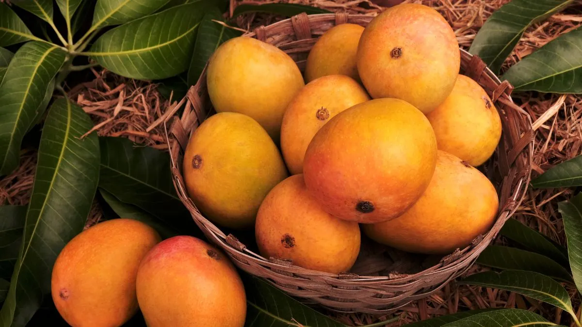 National Mango Day 2024: Most Expensive Mango To Vast Varieties ...