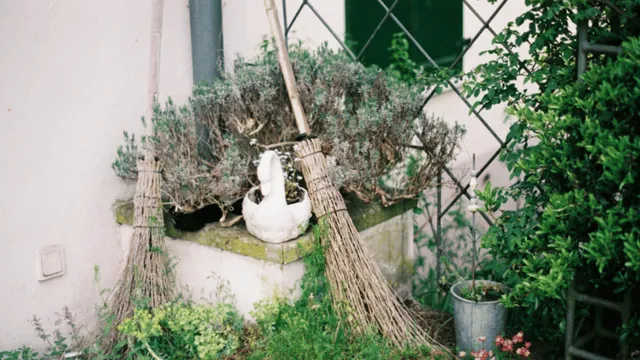 nutritious-jhaadu-broom-packaging-with-nutrition-facts-label-leaves-internet-rolling-on-the-floor-laughing