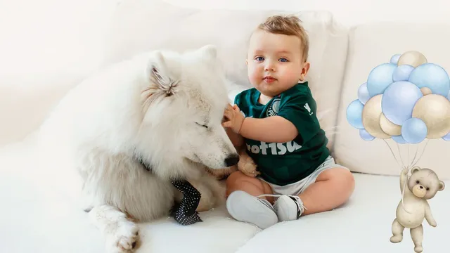 107-modern-and-unique-hindu-baby-boy-names-starting-with-the-letter-c-with-their-meanings-in-july-2024-complete-guide