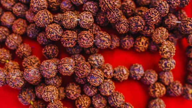 sawan-2024-21-types-of-rudraksha-and-their-spiritual-benefits-for-success-health-and-money